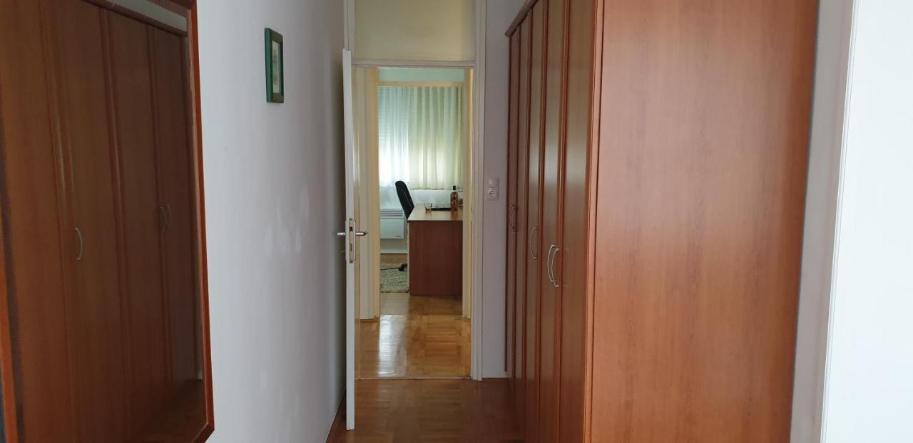 زادار Apartment Sunny Smile المظهر الخارجي الصورة